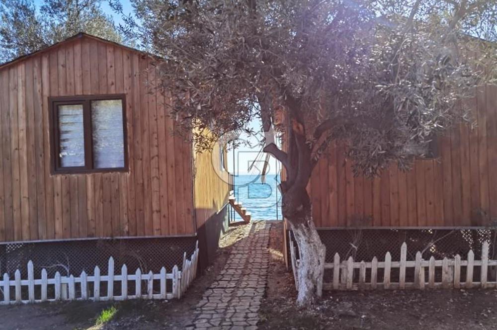 ÇANAKKALE AYVACIK AHMETÇE DE DEVREN KİRALIK KAMP ALANI