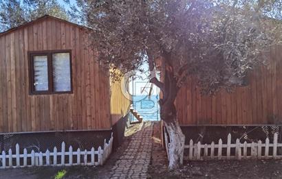 ÇANAKKALE AYVACIK AHMETÇE DE DEVREN KİRALIK KAMP ALANI