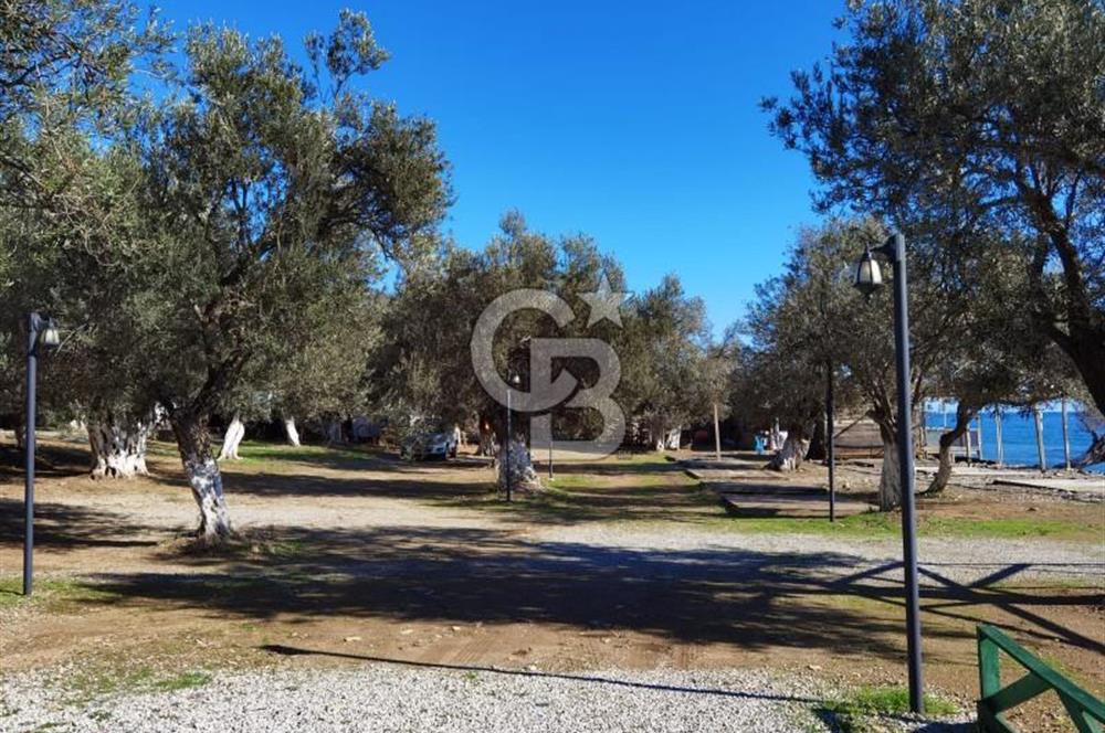 ÇANAKKALE AYVACIK AHMETÇE DE DEVREN KİRALIK KAMP ALANI