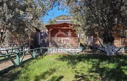 ÇANAKKALE AYVACIK AHMETÇE DE DEVREN KİRALIK KAMP ALANI