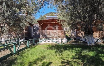 ÇANAKKALE AYVACIK AHMETÇE DE DEVREN KİRALIK KAMP ALANI