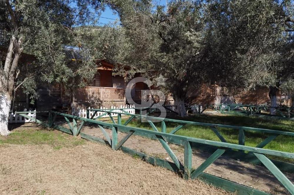 ÇANAKKALE AYVACIK AHMETÇE DE DEVREN KİRALIK KAMP ALANI