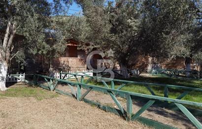 ÇANAKKALE AYVACIK AHMETÇE DE DEVREN KİRALIK KAMP ALANI