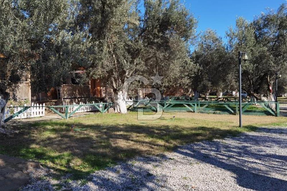 ÇANAKKALE AYVACIK AHMETÇE DE DEVREN KİRALIK KAMP ALANI