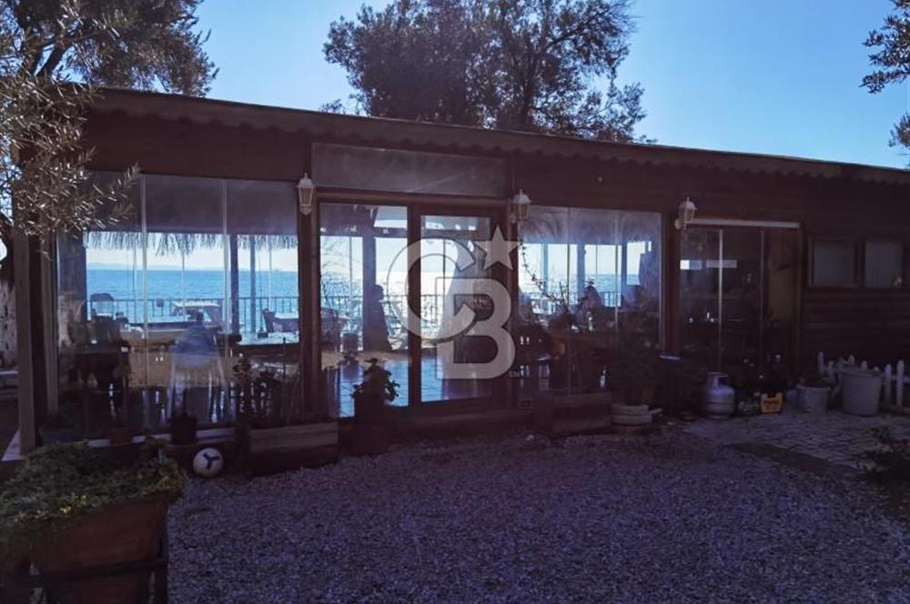 ÇANAKKALE AYVACIK AHMETÇE DE DEVREN KİRALIK KAMP ALANI