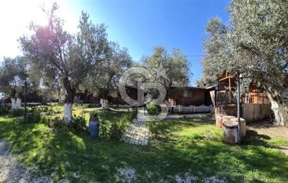 ÇANAKKALE AYVACIK AHMETÇE DE DEVREN KİRALIK KAMP ALANI