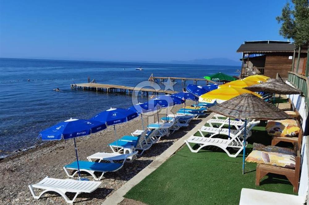 ÇANAKKALE AYVACIK AHMETÇE DE DEVREN KİRALIK KAMP ALANI