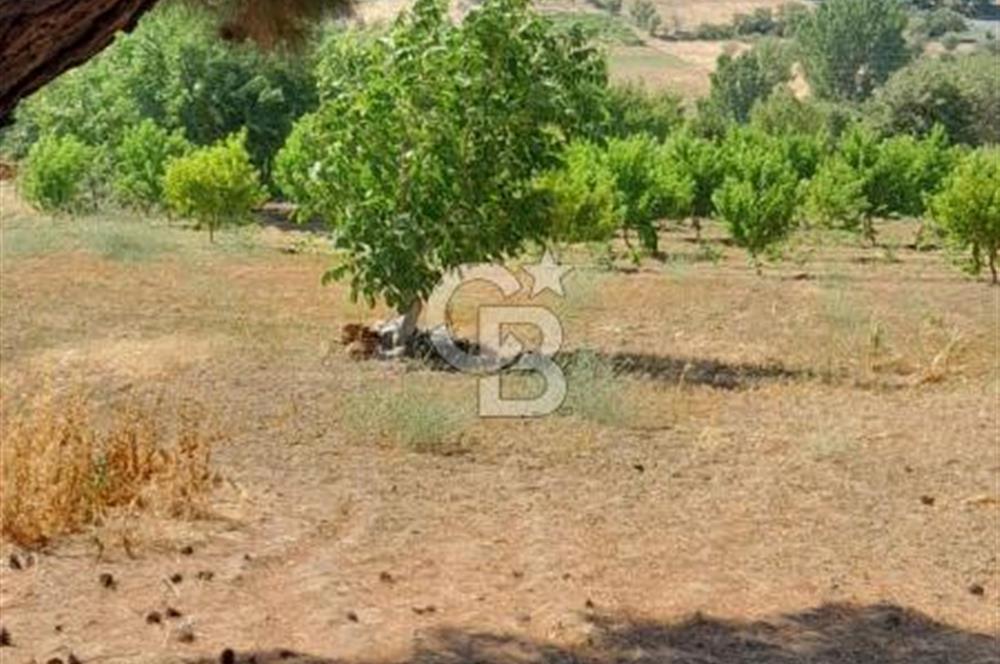 BAYRAMİÇ MOLLAHANLAR DA SATILIK KÖY EVİ