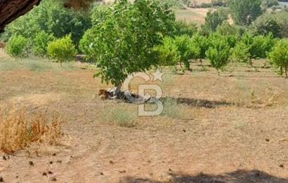 BAYRAMİÇ MOLLAHANLAR DA SATILIK KÖY EVİ