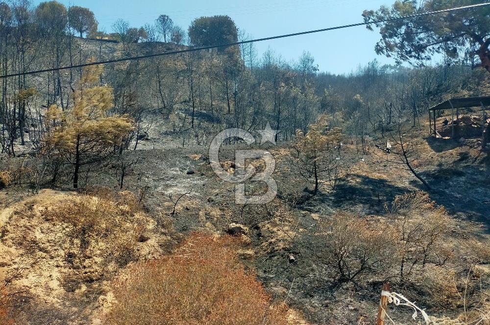 KARANLIK LİMAN YOLUNDA 5520 METREKARE DENİZE SIFIR MUHTEŞEM ARSA