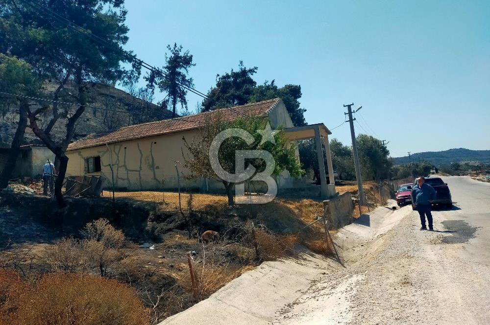 KARANLIK LİMAN YOLUNDA 5520 METREKARE DENİZE SIFIR MUHTEŞEM ARSA
