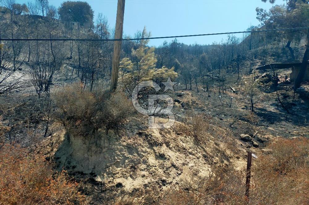 KARANLIK LİMAN YOLUNDA 5520 METREKARE DENİZE SIFIR MUHTEŞEM ARSA