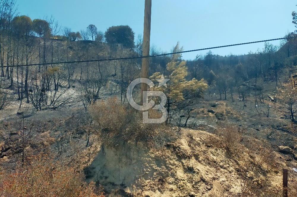 KARANLIK LİMAN YOLUNDA 5520 METREKARE DENİZE SIFIR MUHTEŞEM ARSA