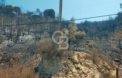 KARANLIK LİMAN YOLUNDA 5520 METREKARE DENİZE SIFIR MUHTEŞEM ARSA