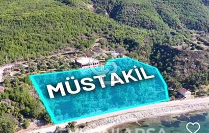 KARANLIK LİMAN YOLUNDA 5520 METREKARE DENİZE SIFIR MUHTEŞEM ARSA