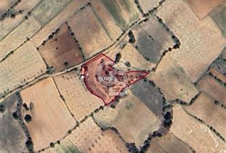 Denizli Pamukkale Güzelpınar 4.280 m² Satılık Fırsat Tarla