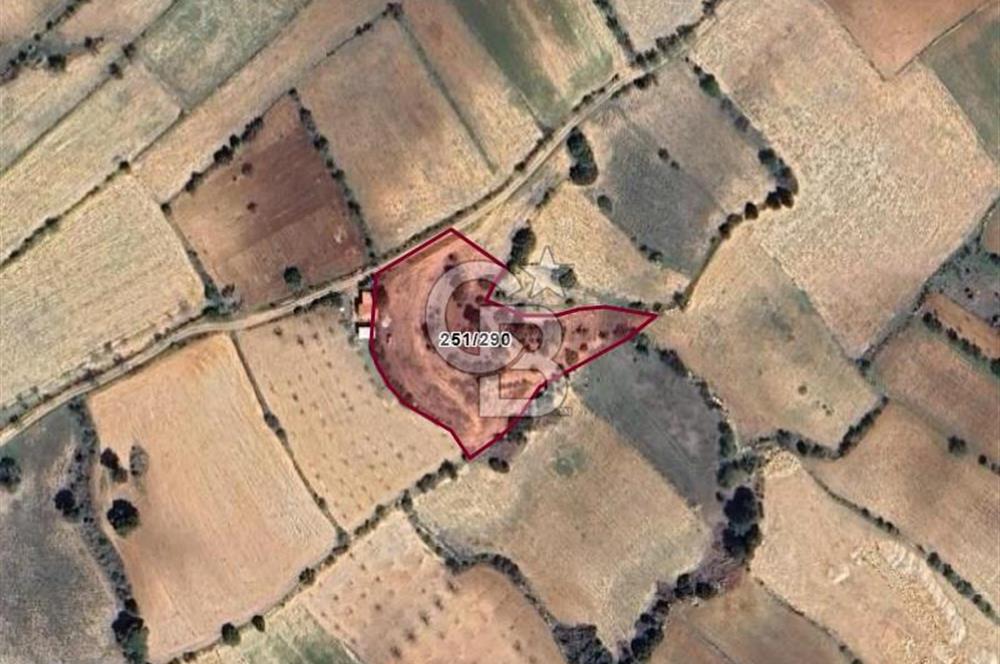 Denizli Pamukkale Güzelpınar 4.280 m² Satılık Fırsat Tarla
