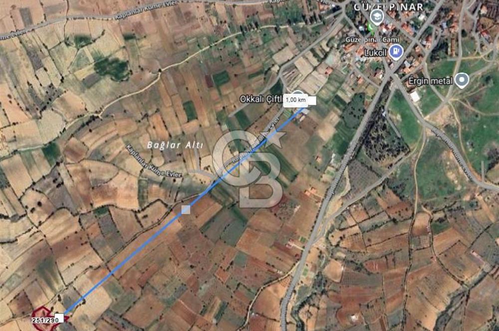 Denizli Pamukkale Güzelpınar 4.280 m² Satılık Fırsat Tarla