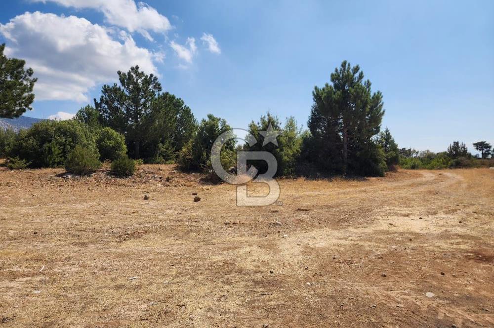 Denizli Pamukkale Güzelpınar 4.280 m² Satılık Fırsat Tarla