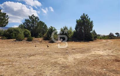 Denizli Pamukkale Güzelpınar 4.280 m² Satılık Fırsat Tarla