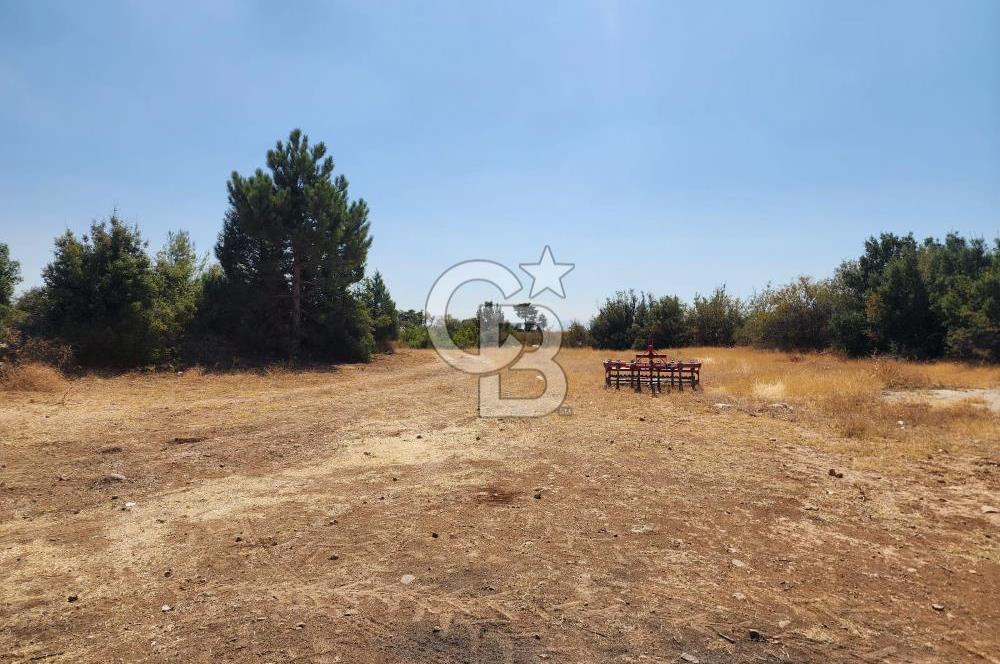 Denizli Pamukkale Güzelpınar 4.280 m² Satılık Fırsat Tarla