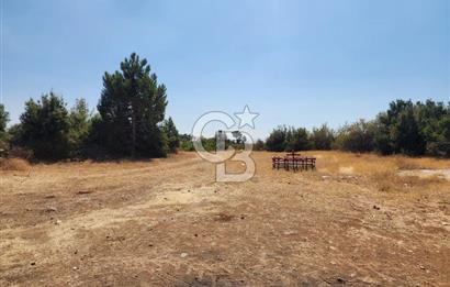 Denizli Pamukkale Güzelpınar 4.280 m² Satılık Fırsat Tarla
