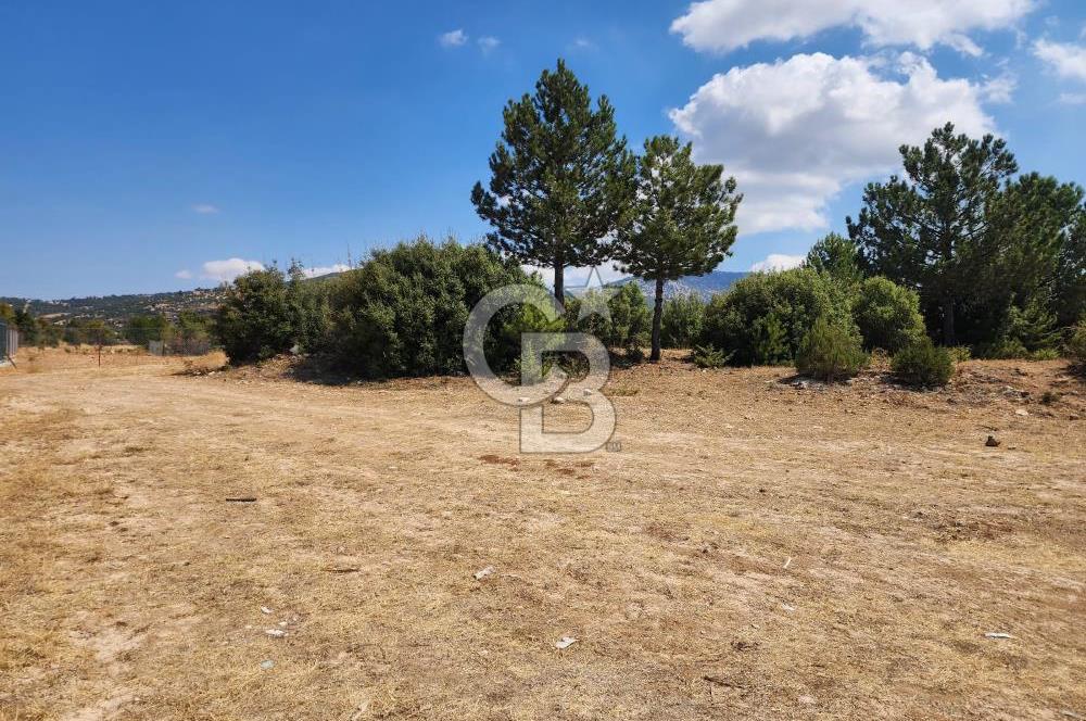 Denizli Pamukkale Güzelpınar 4.280 m² Satılık Fırsat Tarla