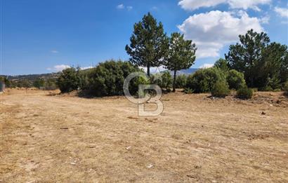 Denizli Pamukkale Güzelpınar 4.280 m² Satılık Fırsat Tarla