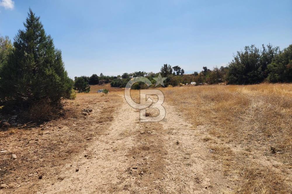 Denizli Pamukkale Güzelpınar 4.280 m² Satılık Fırsat Tarla