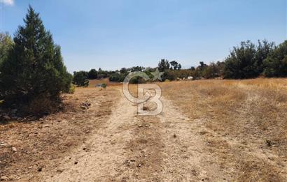 Denizli Pamukkale Güzelpınar 4.280 m² Satılık Fırsat Tarla