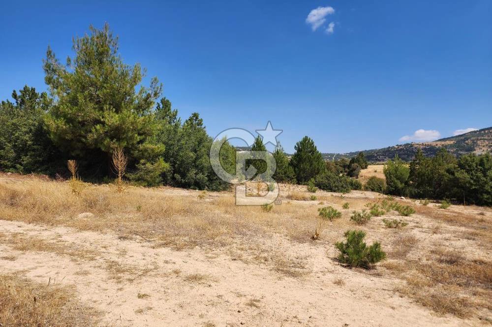 Denizli Pamukkale Güzelpınar 4.280 m² Satılık Fırsat Tarla
