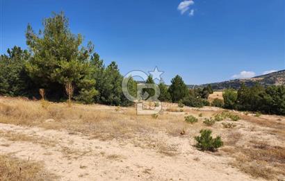 Denizli Pamukkale Güzelpınar 4.280 m² Satılık Fırsat Tarla