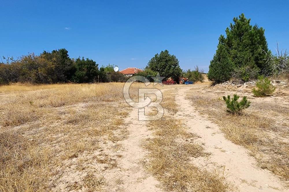 Denizli Pamukkale Güzelpınar 4.280 m² Satılık Fırsat Tarla