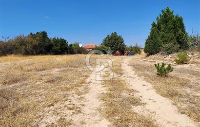 Denizli Pamukkale Güzelpınar 4.280 m² Satılık Fırsat Tarla
