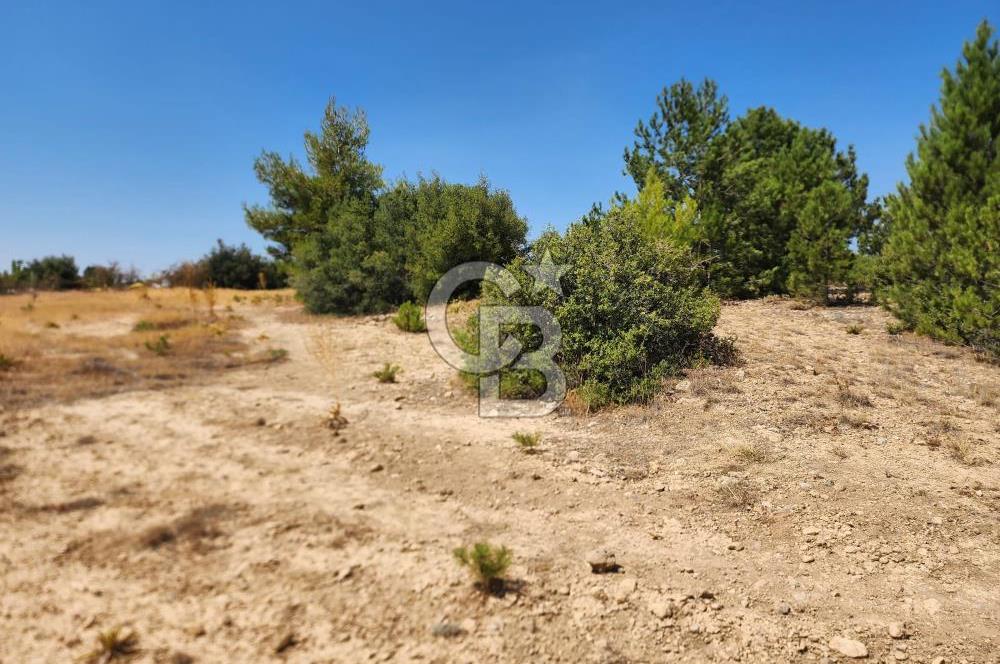 Denizli Pamukkale Güzelpınar 4.280 m² Satılık Fırsat Tarla