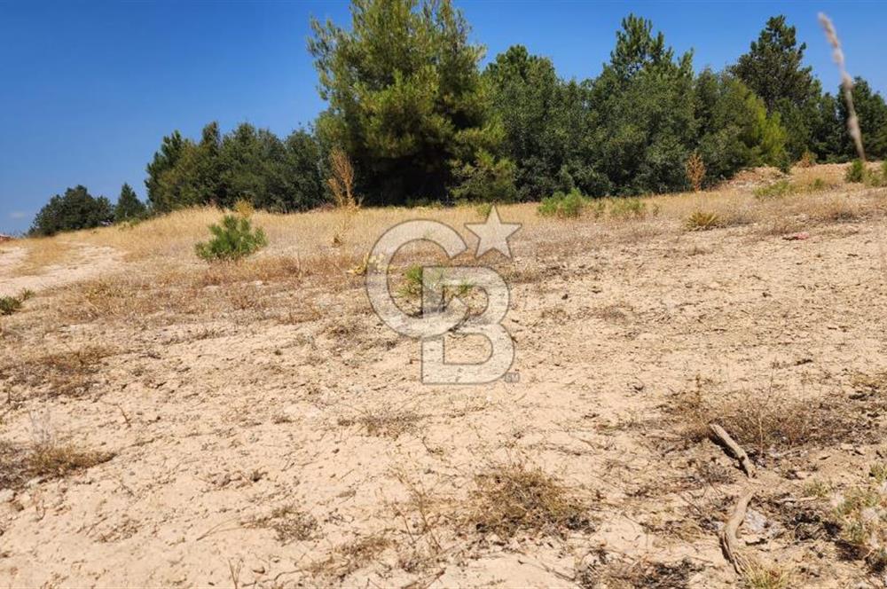 Denizli Pamukkale Güzelpınar 4.280 m² Satılık Fırsat Tarla