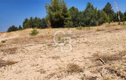 Denizli Pamukkale Güzelpınar 4.280 m² Satılık Fırsat Tarla