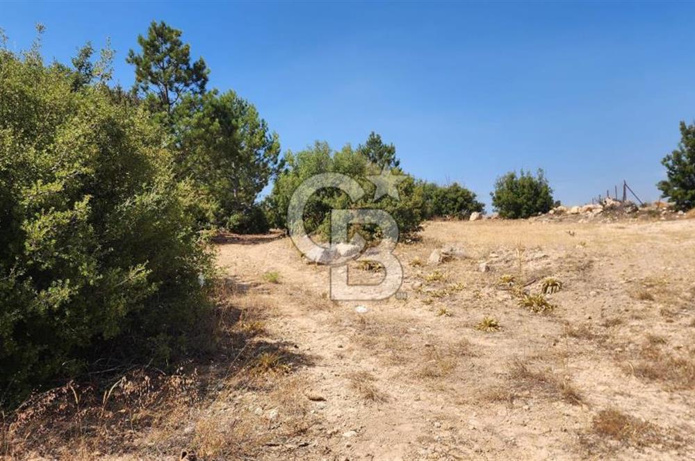 Denizli Pamukkale Güzelpınar 4.280 m² Satılık Fırsat Tarla