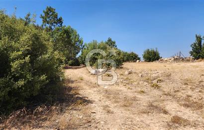 Denizli Pamukkale Güzelpınar 4.280 m² Satılık Fırsat Tarla