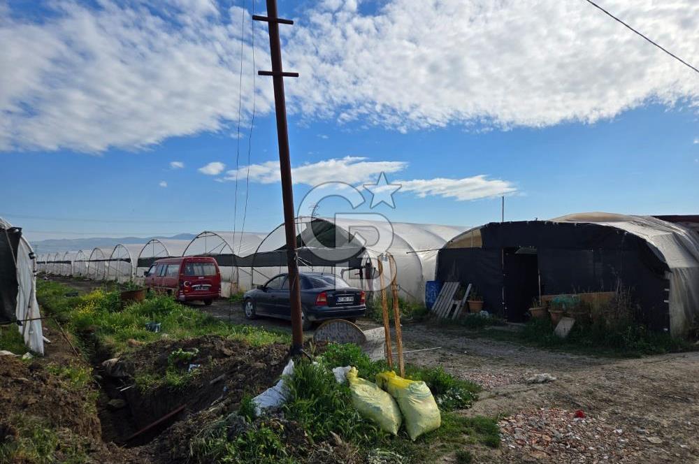 BURSA ORHANGAZİ ÇELTİKÇİ SATILIK TARLA!. 8460M2 YOL SU ELEKTRİK