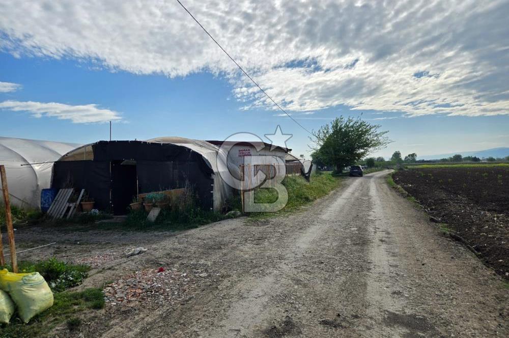 BURSA ORHANGAZİ ÇELTİKÇİ SATILIK TARLA!. 8460M2 YOL SU ELEKTRİK