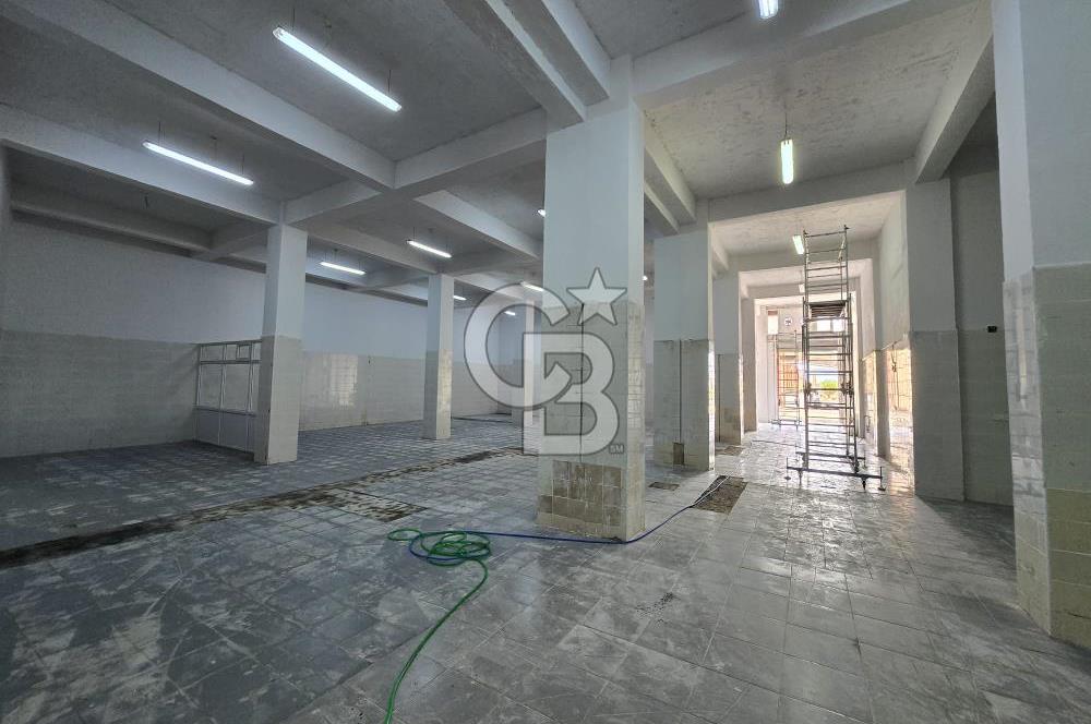 BURSA ORHANGAZİ MARZİM KİRALIK DEPO İŞ YERİ!.435M2