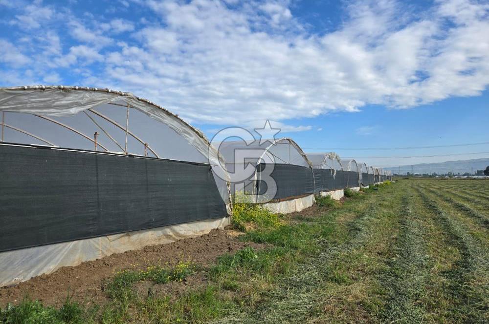 BURSA ORHANGAZİ ÇELTİKÇİ SATILIK TARLA!. 8460M2 YOL SU ELEKTRİK