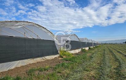 BURSA ORHANGAZİ ÇELTİKÇİ SATILIK TARLA!. 8460M2 YOL SU ELEKTRİK