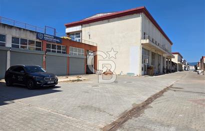 BURSA ORHANGAZİ MARZİM KİRALIK DEPO İŞ YERİ!.435M2