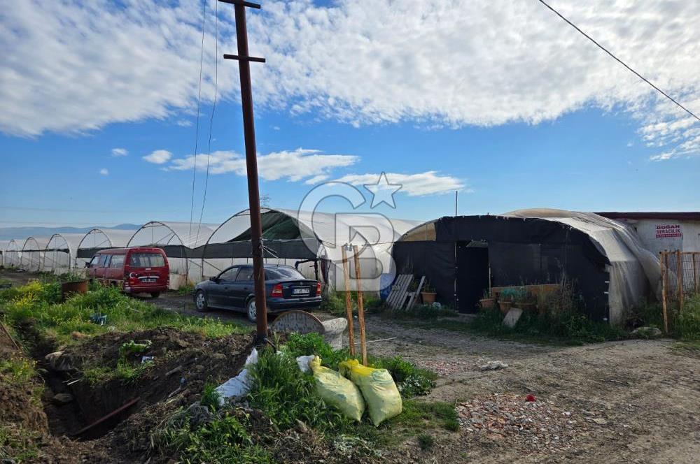 BURSA ORHANGAZİ ÇELTİKÇİ SATILIK TARLA!. 8460M2 YOL SU ELEKTRİK