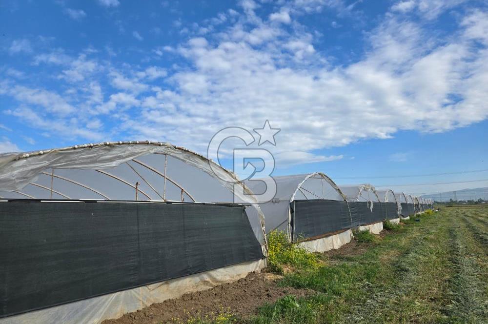 BURSA ORHANGAZİ ÇELTİKÇİ SATILIK TARLA!. 8460M2 YOL SU ELEKTRİK