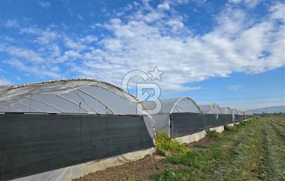 BURSA ORHANGAZİ ÇELTİKÇİ SATILIK TARLA!. 8460M2 YOL SU ELEKTRİK