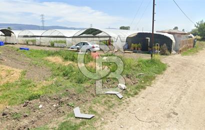 BURSA ORHANGAZİ ÇELTİKÇİ SATILIK TARLA!. 8460M2 YOL SU ELEKTRİK