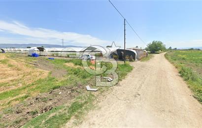 BURSA ORHANGAZİ ÇELTİKÇİ SATILIK TARLA!. 8460M2 YOL SU ELEKTRİK